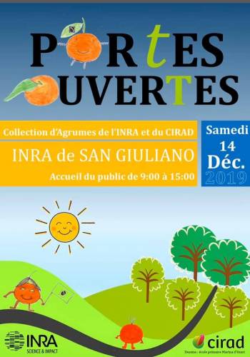 Texte alternatif