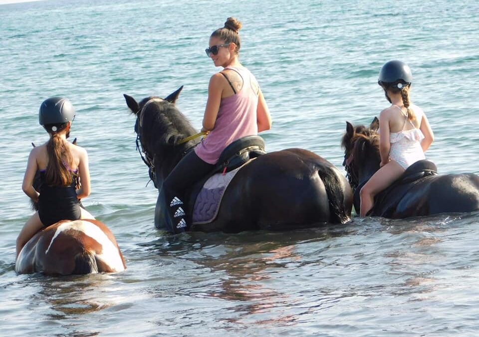 CENTRE EQUESTRE D&rsquo;EDEN