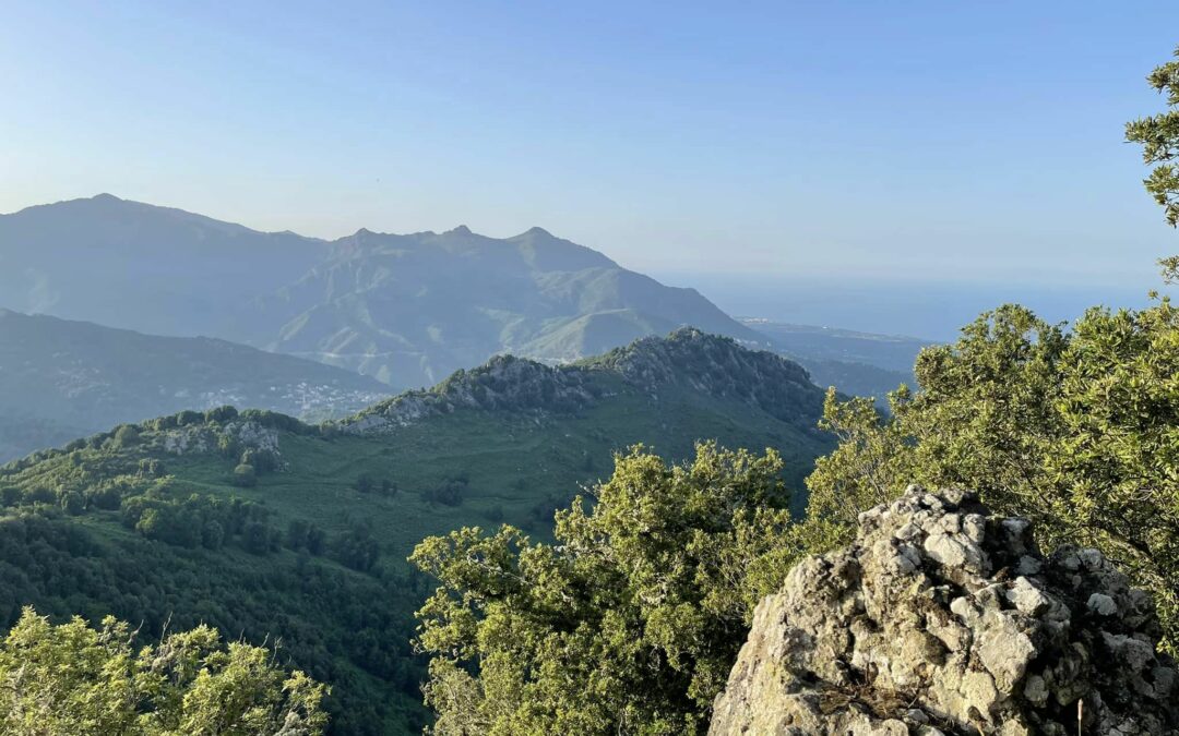 SENTIER DE PIETRA DI VERDE