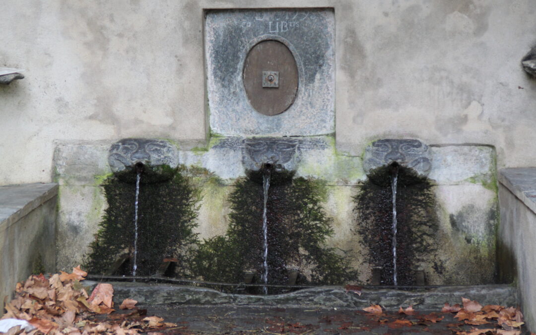 LA FONTAINE AUX TROIS GUEULES DE LION DE MOÏTA