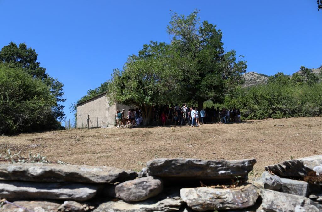 SENTIER DE PIANELLU / SAN VINCENTE