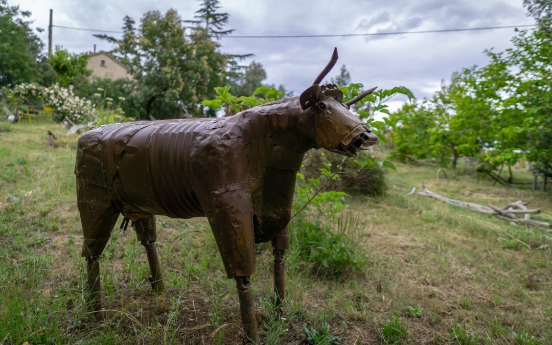 GABRIELLI VÉRONIQUE