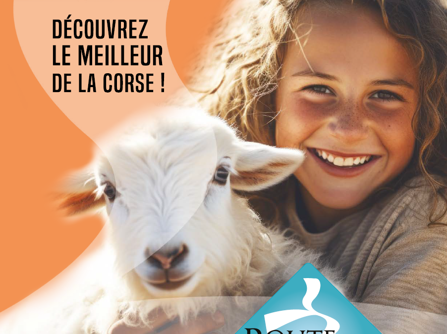 Route de sens authentiques