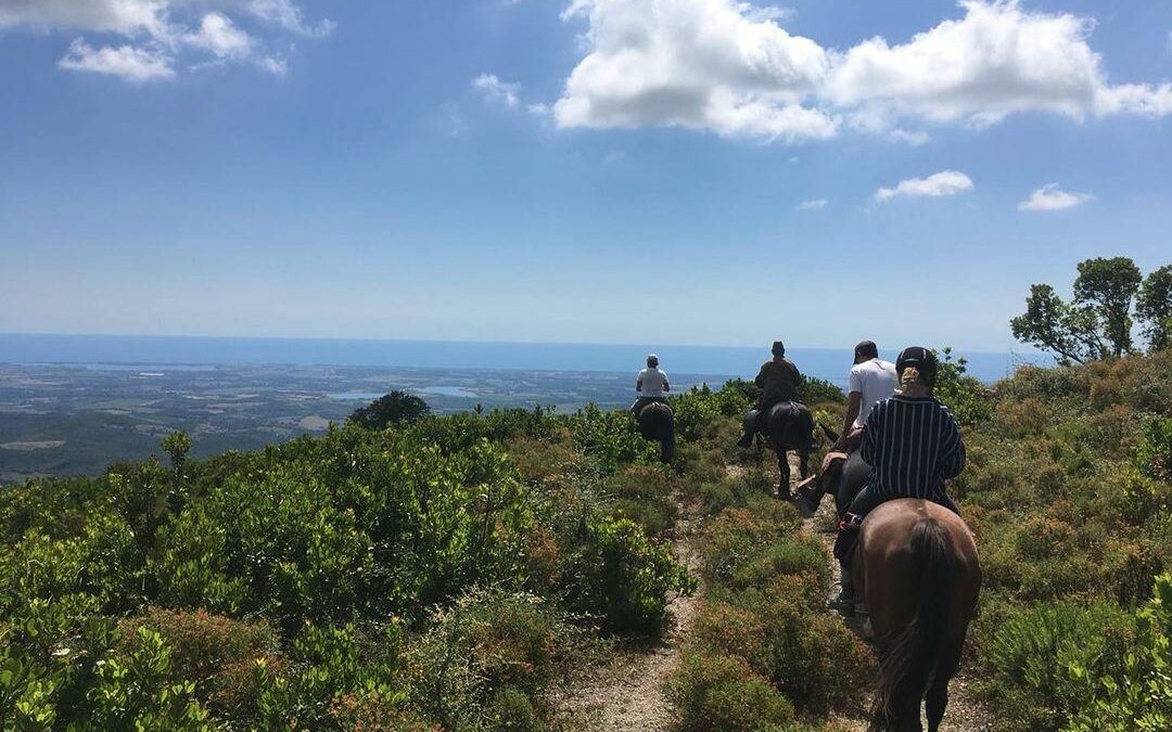 FERME EQUESTRE I BALATOGHJI