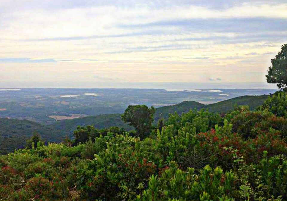 SENTIER DE CASEVECCHIE