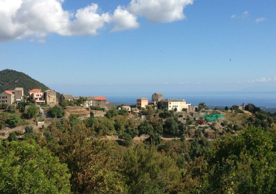 SENTIER DE CANALE DI VERDE / LINGUIZZETTA