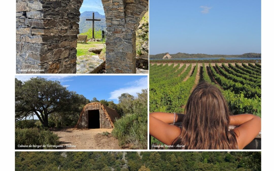 Guide du Partenaire 2026