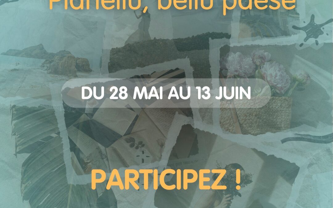 CONCOURS PHOTO AU VILLAGE DE PIANELLU